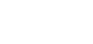 logo light